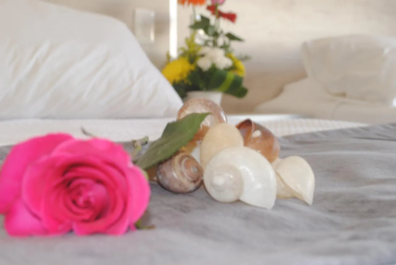 아파트 Casa Puchi By Holiday In Playa 신데 델 카르멘 멕시코